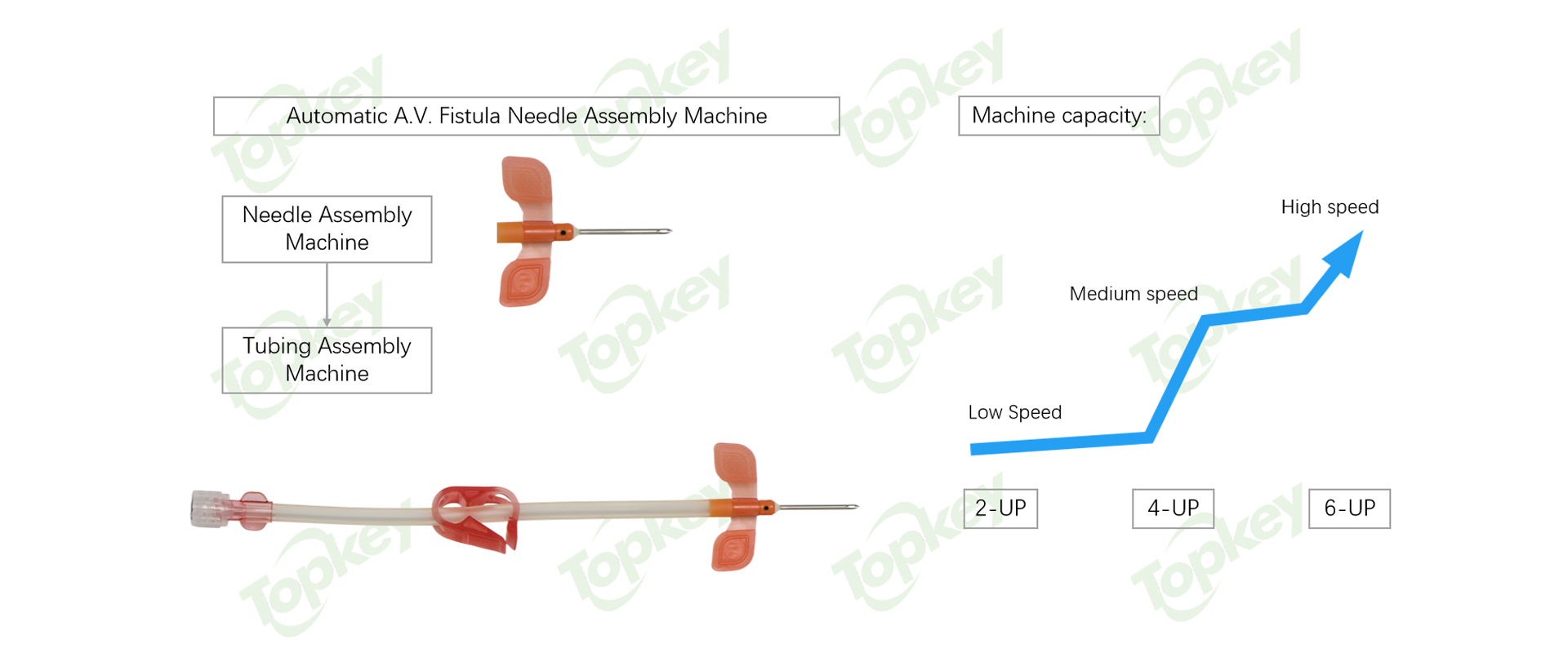 区块4874이미지-2